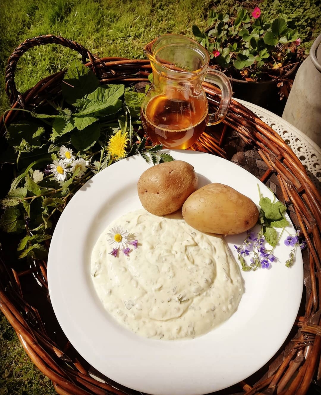 Pellkartoffeln mit Quark und Leinöl